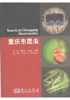 Insects in Chongqing Municipality