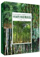 Illustrations of Bamboos in China