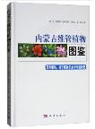 Atlas of Vascular Plants in Inner Mongolia (Pteridophytes, Gymnosperms and Monocotyledons)