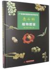 Illustrated Guide to Fagaceae Plants in the Nanling Mountain National Nature Reserve, Guangdong