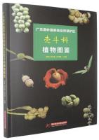 Illustrated Guide to Fagaceae Plants in the Nanling Mountain National Nature Reserve, Guangdong
