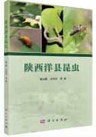 Insects in Yangxian County, Shaanxi Province