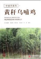 An Excellent Bamboo Species:  Huang Gan Wu Bu Ji