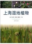 Wetland Plants of Shanghai