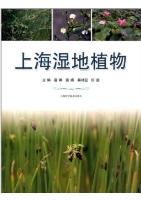 Wetland Plants of Shanghai