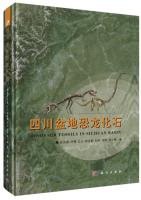 Dinosaur Fossils in Sichuan Basin