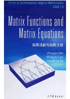 Matrix Functions and Matrix Equationas
