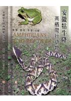 Amphibians and Reptiles in Kuniujiang, Anhui