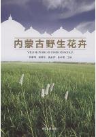 Wild Flowers of Inner Mongolia