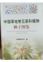 Identification of Common Asteraceae Plant Seeds in China Gressland