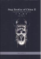 Stag Beetles of China II