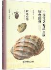 Primary Color Atlas of Common Marine Organisms in China: Mollusks