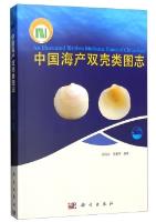 An Illustrated Bivalvia Mollusca Fauna of China Seas (Print on demand)