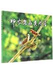 Atlas of Birds in Shennongjia
