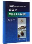 Atlas of Common Aquatic Organism in Sha Ying River