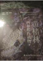 Amphibians and Reptiles in Huangchulin National Nature Reserve, Fujian Province