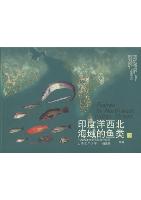 Fishes in Northwest Indian Ocean（2）