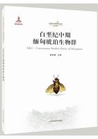 Mid-Cretaceous Amber Biota of Myanmar