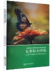 Atlas of Insect Specimens in Alxa Left Banner, Alxa League, Inner Mongolia Autonomous Region