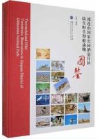 Terrestrial and Wild Vertebrates Illustrations in Jiuquan District of Qiliansha National Park