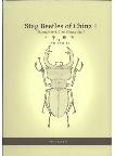 Stag Beetles of China I