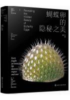 Revealing the Hidden Beauty of Butterfly Eggs