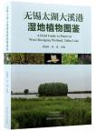 A Field Guide to Wetland Plants in Wuxi Daxigang,Taihu Lake