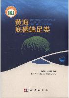 Benthic Amphipoda (Crustacea) of the Yellow Sea