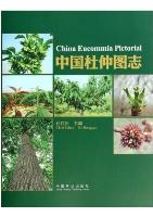 China Eucommia Pictorial