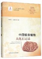 Record of Megafossil Plants from China (1865-2005):Record of Megafossil Ginkgophytes from China  
