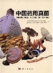 Medical Fungi of China