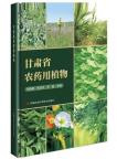 Pesticide plants in Gansu Province