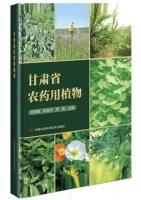 Pesticide plants in Gansu Province