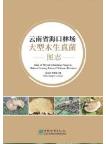 Atlas of Wood Inhabiting Fungi in Haikou Forestry Farm of Yunnan Province