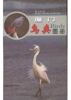 Birds of Xiamen 