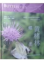 Butterflies in Huangchulin National Nature Reserve, Fujian Province