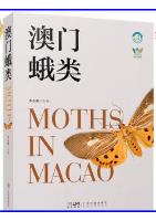 Moths in Macao