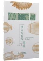 Atlas of Chengjiang Cambrian