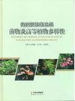 Diversity of Lichens,Fungi and Plants in Nanjian Yizu Autonomous County