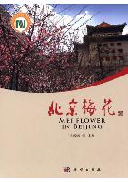 Mei Flower in Beijing