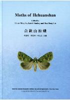 Moths of Hehuanshan 