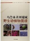 XinJiang Urumqi River Basin Wild Animals & Plants