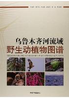XinJiang Urumqi River Basin Wild Animals & Plants