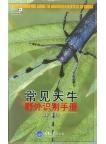 A Photographic Guide to Longhorn Beetles of China