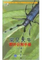 A Photographic Guide to Longhorn Beetles of China