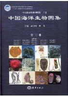 An Illustrated Guide To Species in China’s Seas(Vol.3) - Animalia (1): Porifera Cnidaria  Plathyelminthes Nemertinea Nematoda; Acanthocephala Rotifera Gastrotricha   Kinorhyncha Priapulida Annelida; - Sipuncula    Echiura