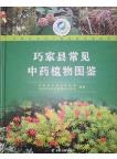 Illustrated Guide to Common Traditional Chinese Medicine Plants in Qiaojia County