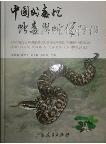 Chinese Poisonous Snakes, Their Venom, and Prevention & Treatment for Snakebites 
