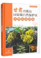 Atlas of Macrofungi in Xinglongshan National Nature Reserve, Gansu Province