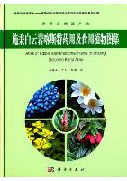 Atlas of Edible and Medicinal Plants in Shibing Dolomite Karst Area